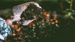 Donations to grower soar following allotment vandalism