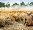 G7 nations must work together to reach global food security – FAO