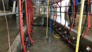 Lakeland announces further reduction in milk price for March