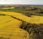 Tillage: Clubroot thrives in low-pH environment