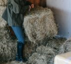 Women in agriculture experiencing 'concerning' levels of anxiety
