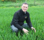 Wheat crops under severe septoria pressure in some areas