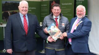 Balmoral Show 2023: Tremendous turnout of Hereford cattle