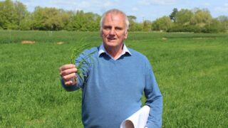 Nitrogen use efficiency can be core driver in cereal crops