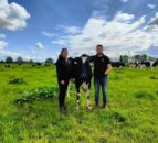 Farmers forced to put down cows after loose dog enters shed