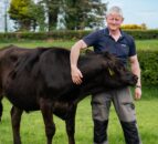 Balmoral Show 2023: M&S enjoys strong trading year