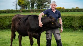 Balmoral Show 2023: M&S enjoys strong trading year
