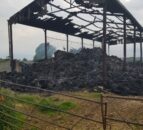 Police launch arson investigation into barn fire
