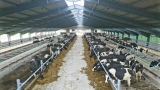 NI concrete company transitioning to carbon net zero