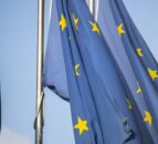 MEPS agree to ‘simplify’ rules for British goods entering NI