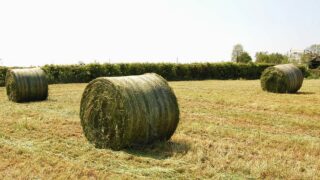 Opinion: Chequered flag dropped on 2023 silage season