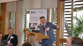 Calls for Scotland to provide ‘adequate’ funding for vet education
