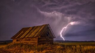 Farmers urged to prepare ahead of Storm Darragh