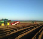 Agri-food Brexit impact: ‘Even printer ink was taking 6 weeks’