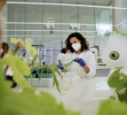 UK focus farms used to highlight impacts of lab-grown meat