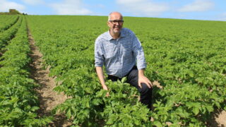 Europe’s potato industry falls victim to extreme weather
