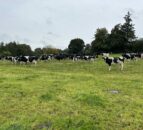 Farmers north and south ‘concerned’ about climate targets