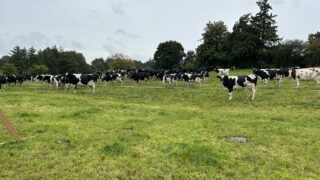 Farmers north and south ‘concerned’ about climate targets
