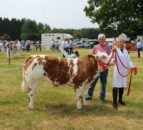 Armagh Show 2023: Red and white were the colours of the day