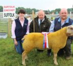 Charollais ewe lamb carries the day at Ballymena Show 2023