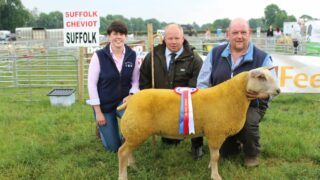 Charollais ewe lamb carries the day at Ballymena Show 2023