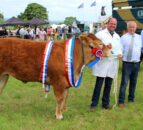 Strong livestock entries at Newry Show 2023