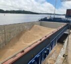 AHDB: Update on world grain markets