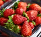 Campaign against Spanish strawberry growers signed by thousands