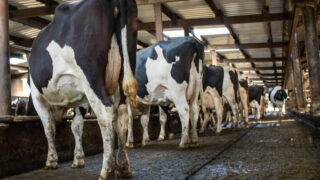 UFU raises major concerns over TB budget cuts