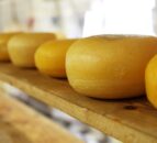 Low quotations for dairy drive down food price index