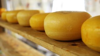 Low quotations for dairy drive down food price index
