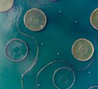 New food-testing method a ‘game-changer’ for food supply chain