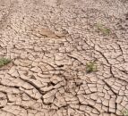 Risk of flash droughts expected to rise globally – study