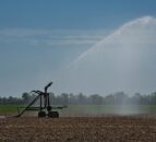 Dam breach could turn Ukraine farmland into 'deserts'