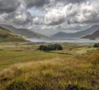 Applications open for farm innovation visit to Scotland