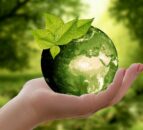 UK report: Up to 45% increase on returns for nature-friendly farms