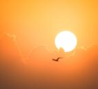 First heat-health alert issued for 6 regions in England