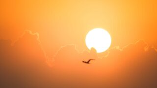 First heat-health alert issued for 6 regions in England