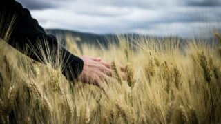 Latest DEFRA figures show agriculture profits boost