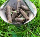 Farmers urged to sign-up for NI Soil Nutrient Health Scheme