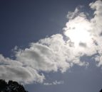 DAERA call for air pollution evidence ‘extremely concerning’ – UFU