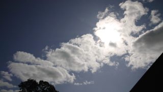 DAERA call for air pollution evidence ‘extremely concerning’ – UFU