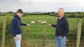 Breeding programmes offer solution to anthelmintic resistance