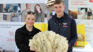 Payments available now for 2022 wool clip – Ulster Wool