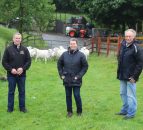 Demand for EasyCare sheep continues to rise in New Zealand