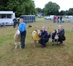 Dutch Spotted hogget carries the day at Castlewellan Show