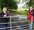 Milk price changes could boost NI Jersey cattle numbers