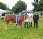 Record livestock entries at Clogher Valley Show