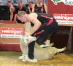 Tyrone farmer sets new record shearing 858 lambs in 9 hours