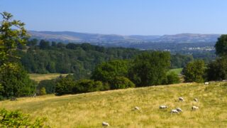 Avian influenza prevention zone implemented in Wales